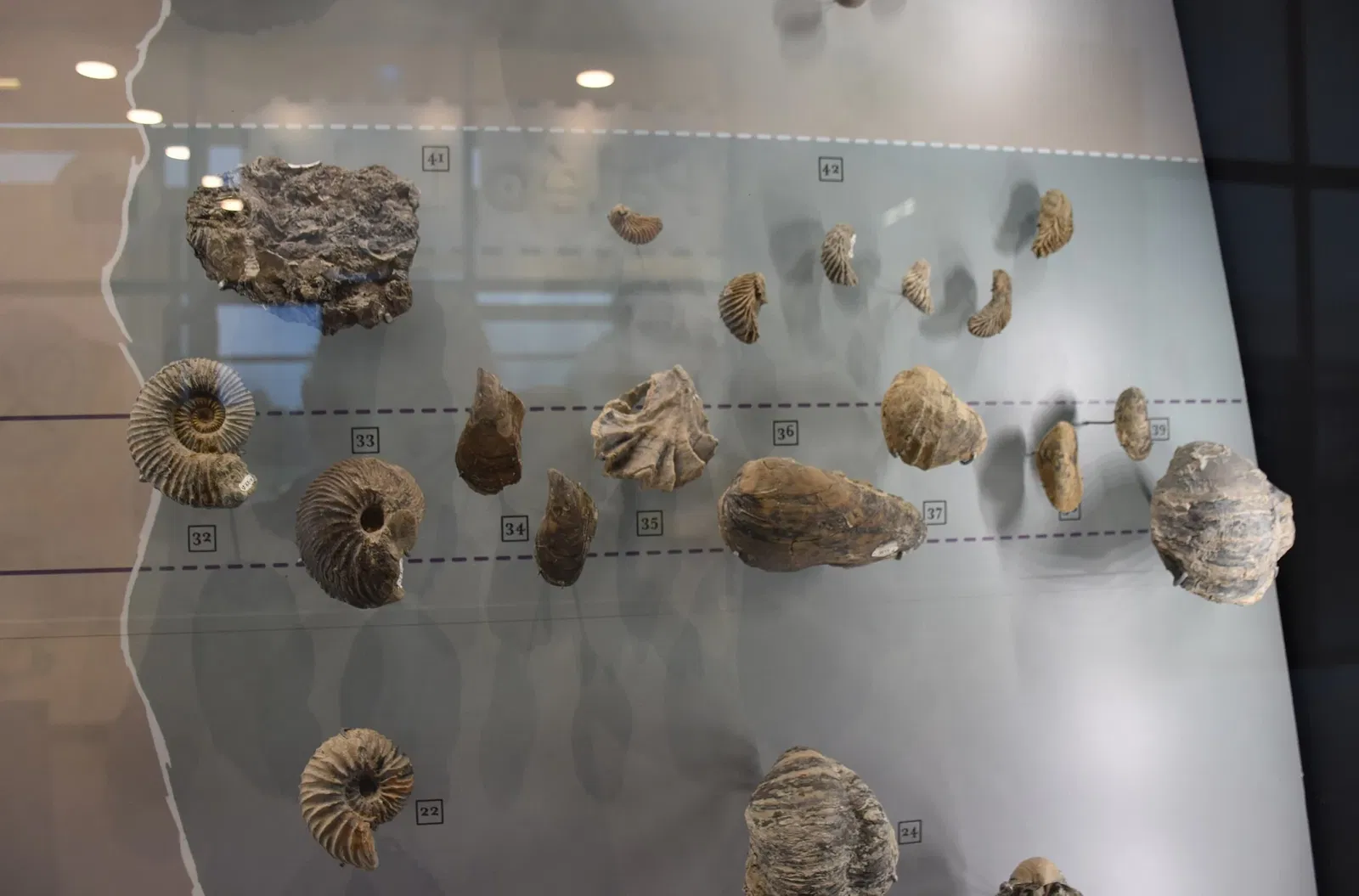 Paléospace l'Odyssée