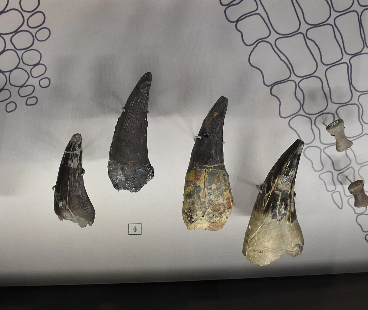 Paléospace l'Odyssée