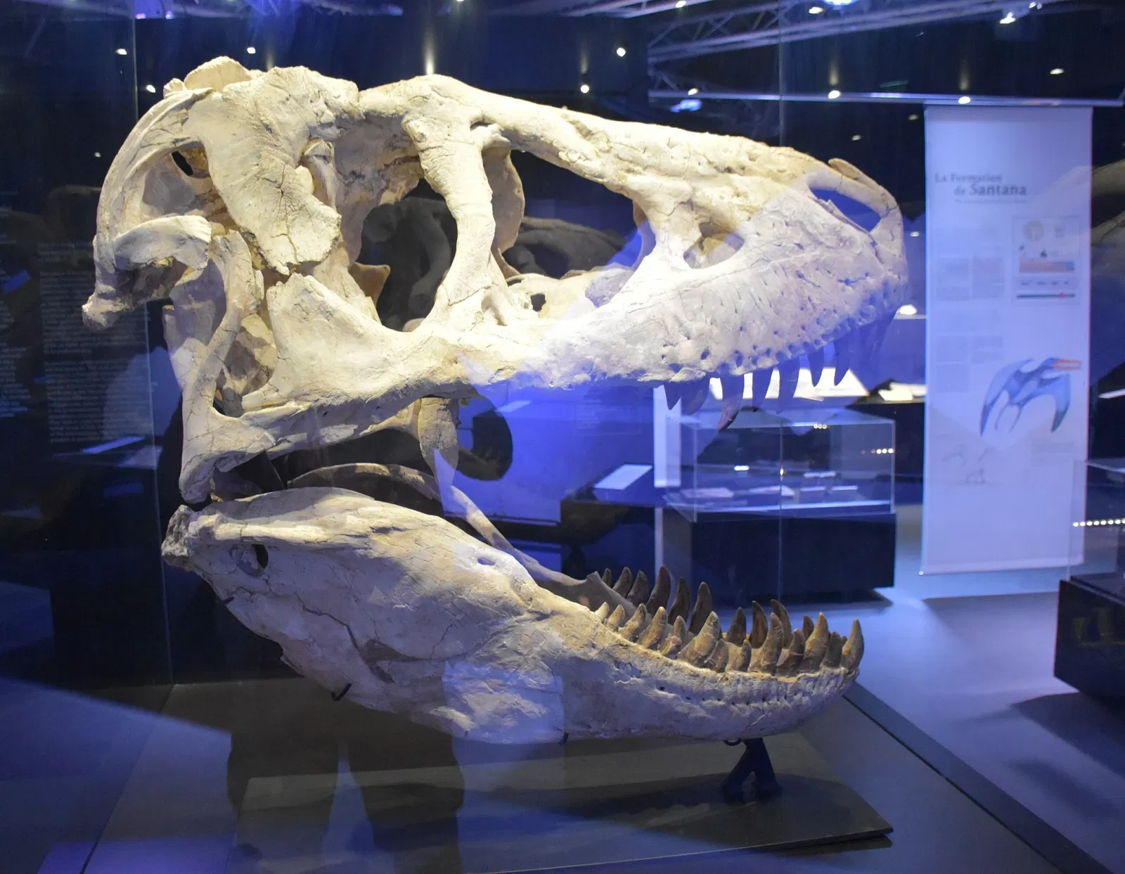 Paléospace l'Odyssée