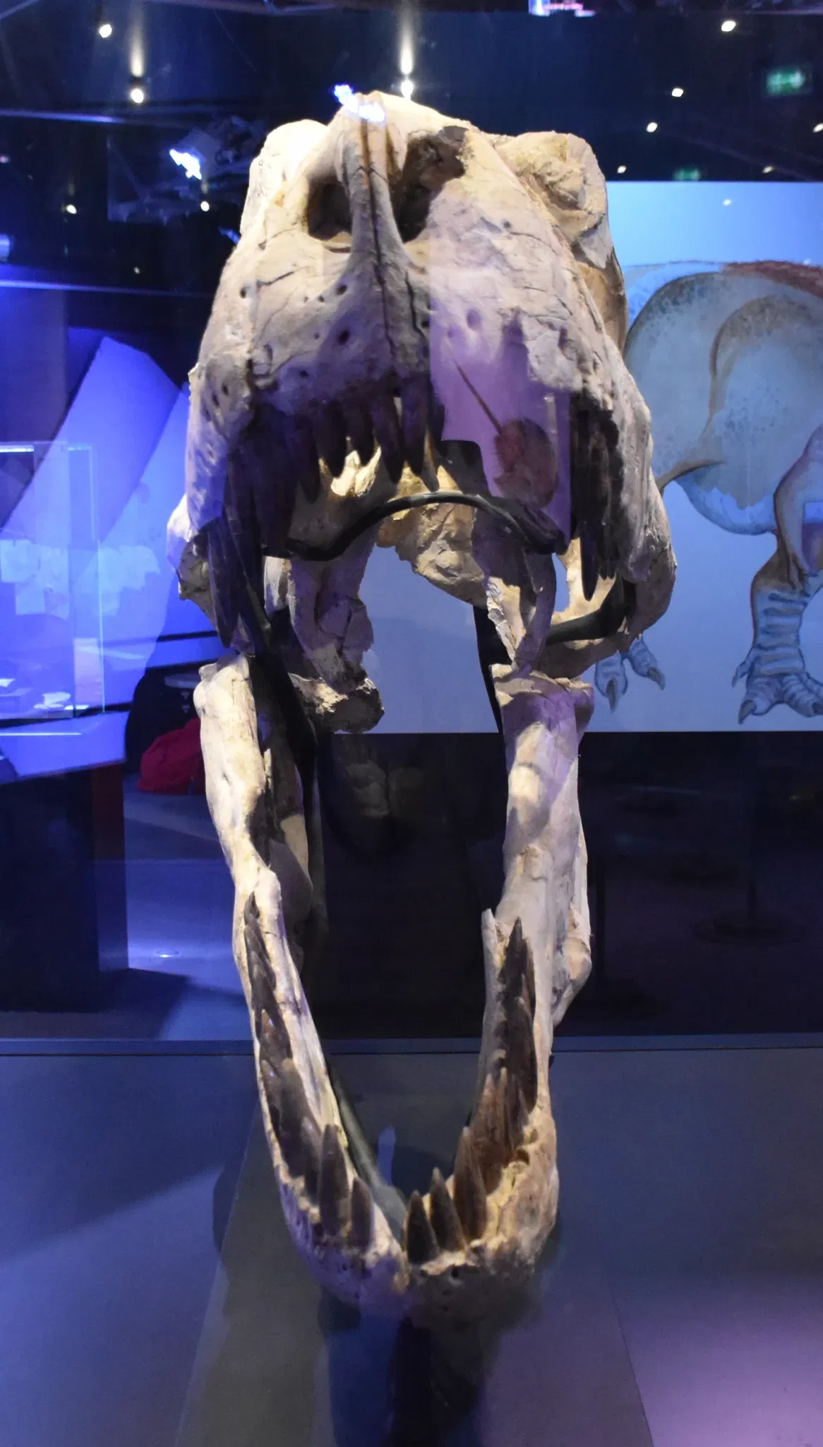 Paléospace l'Odyssée