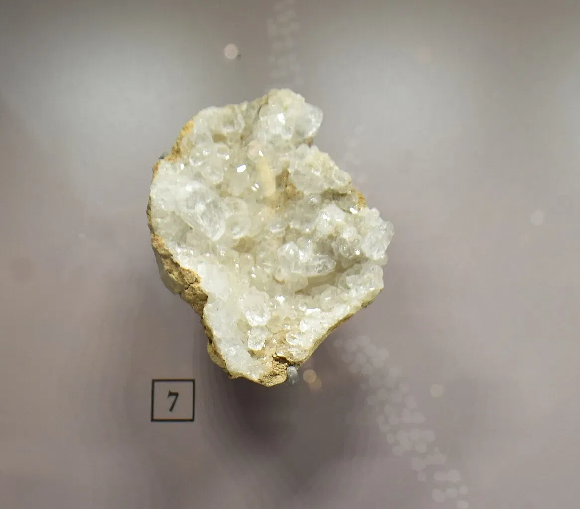 Paléospace l'Odyssée