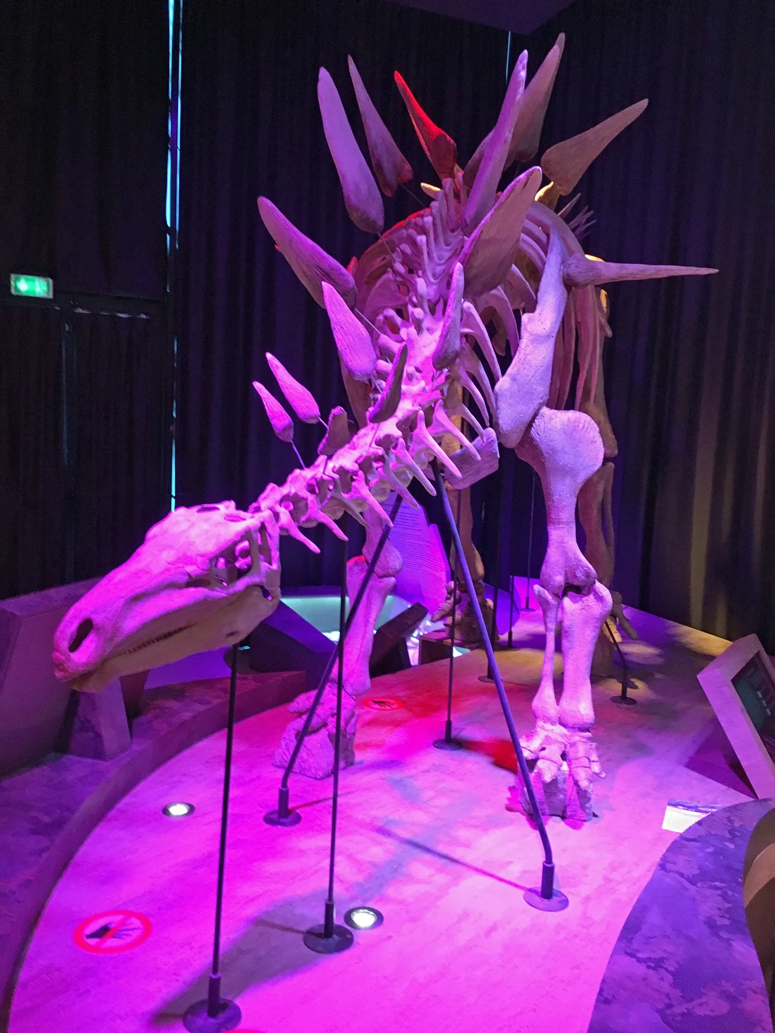 Paléospace l'Odyssée