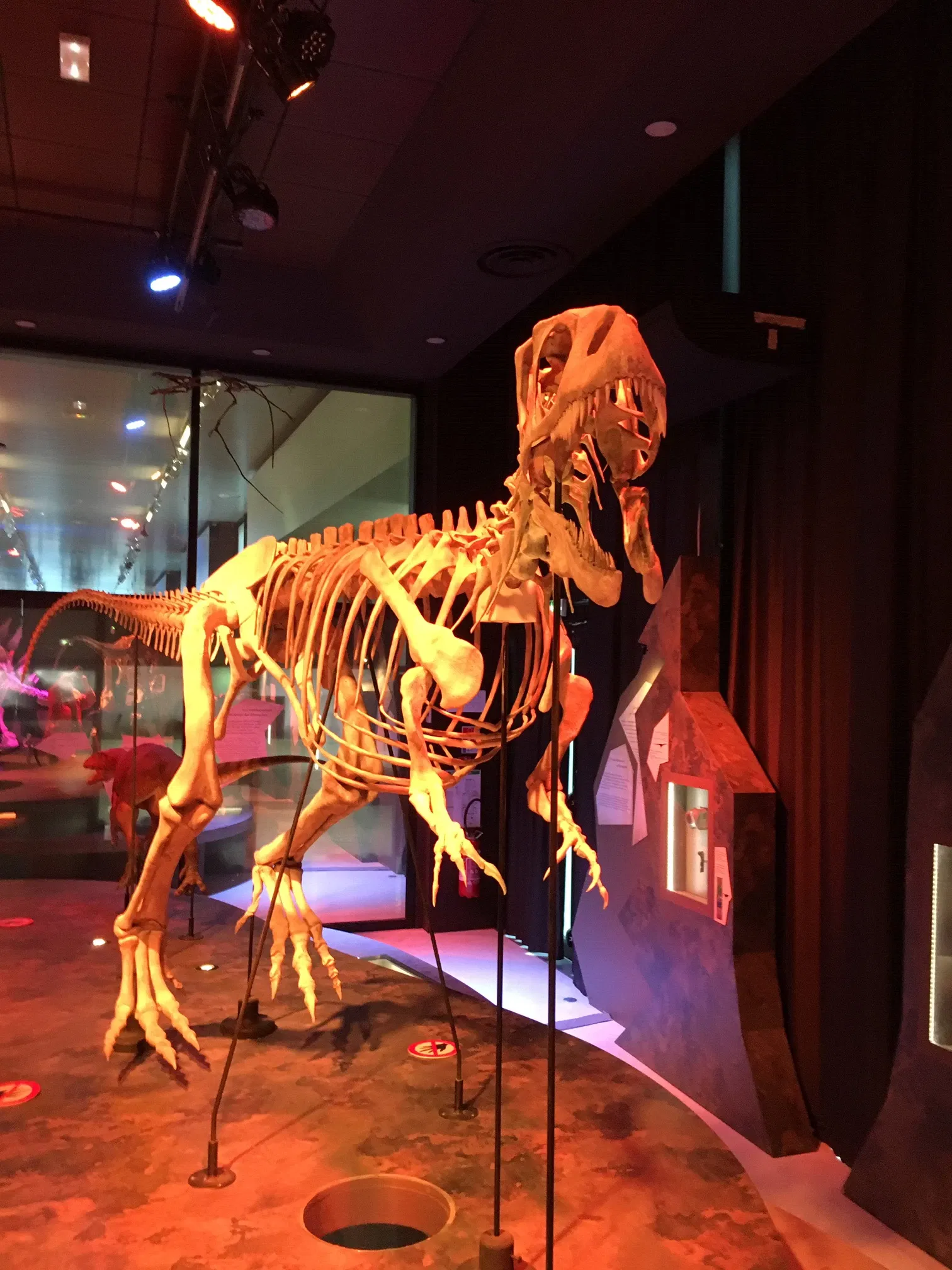 Paléospace l'Odyssée