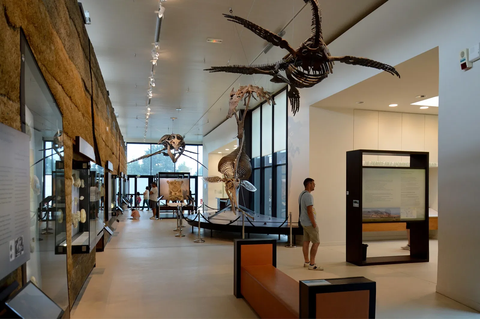 Paléospace l'Odyssée