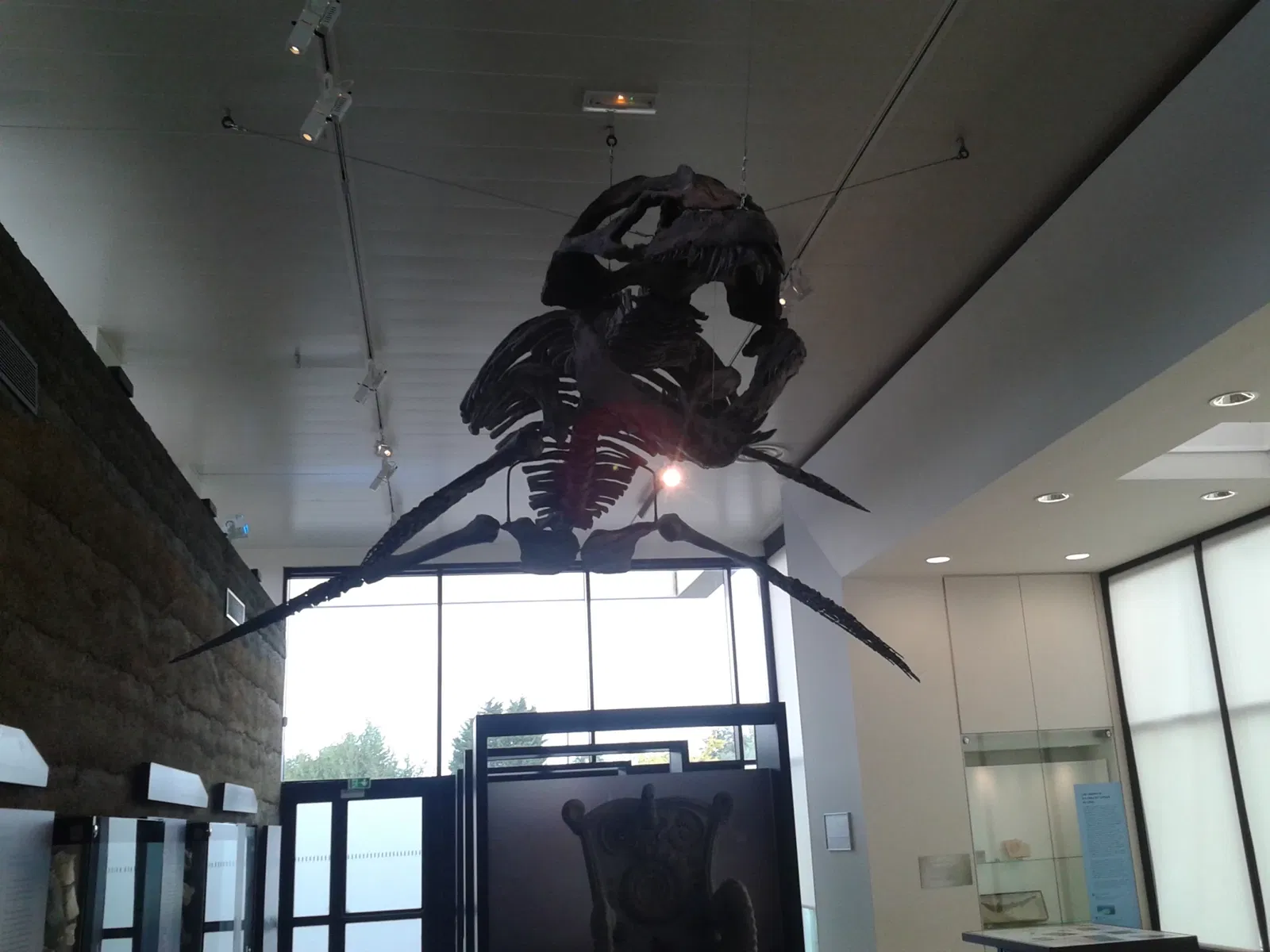 Paléospace l'Odyssée