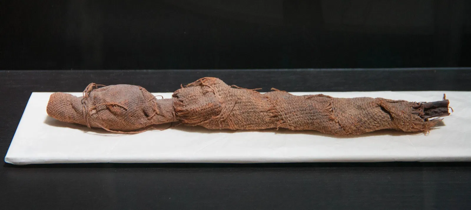 Paléospace l'Odyssée