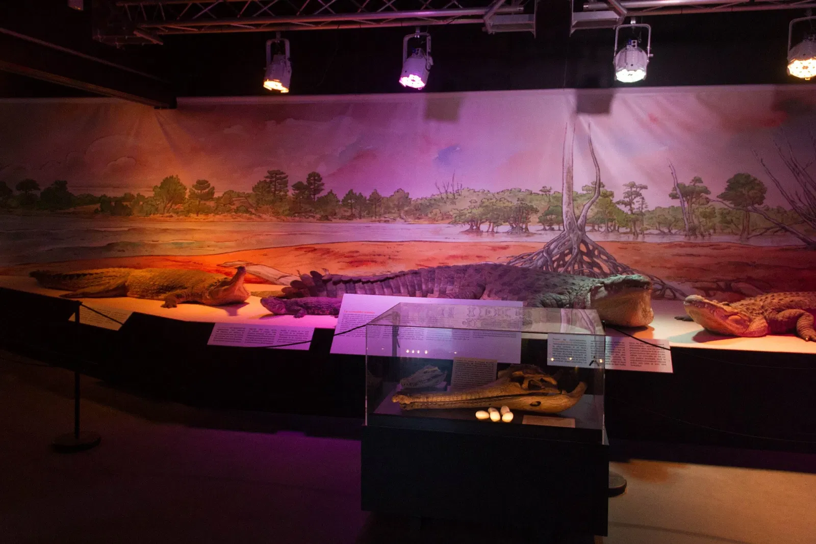 Paléospace l'Odyssée