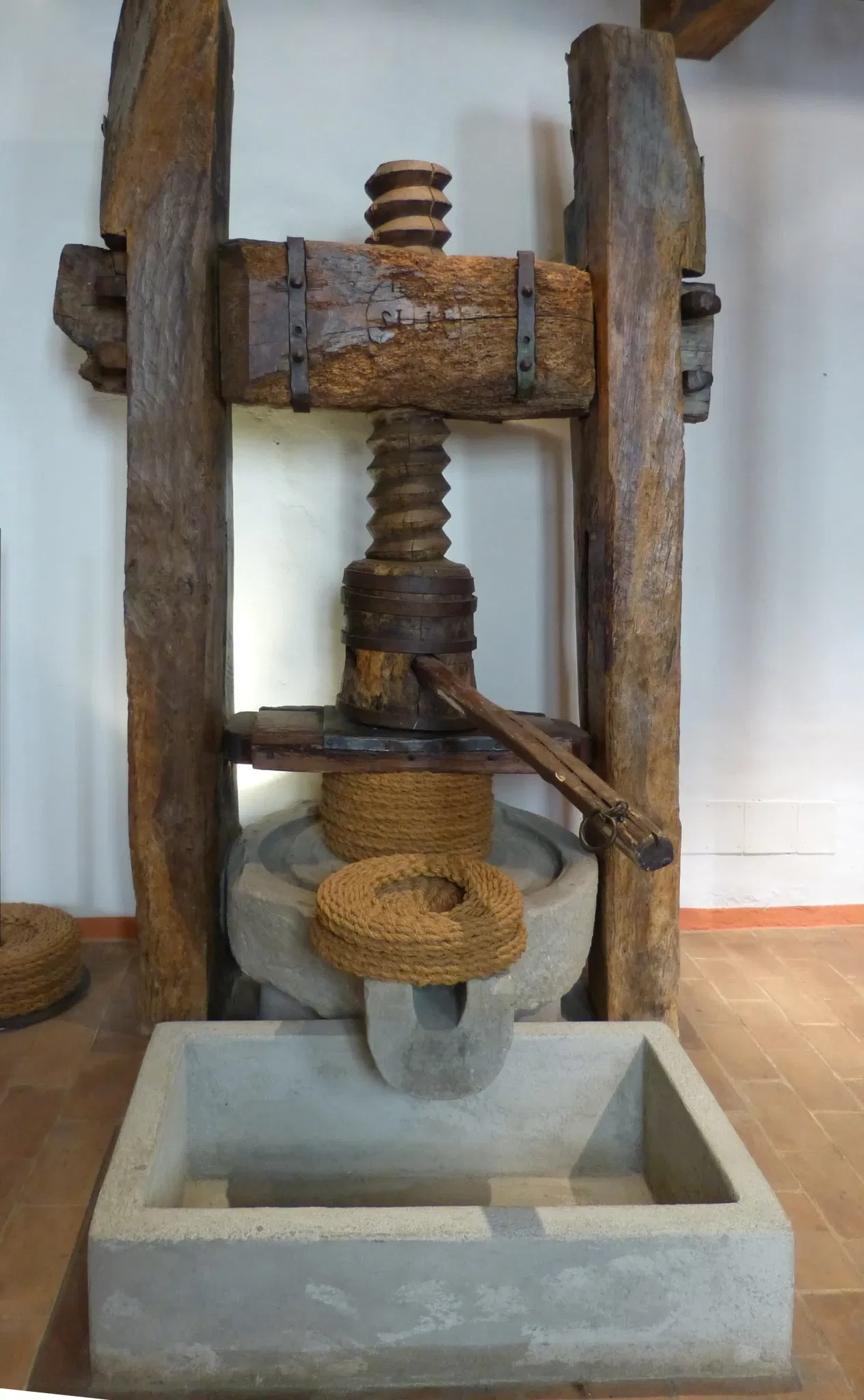 MOO Museo dell’Olivo e dell’Olio