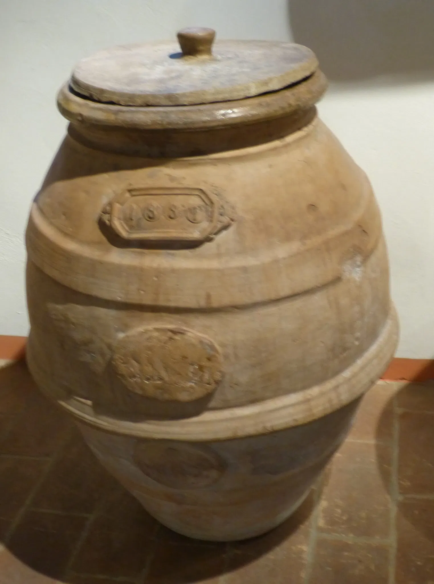 MOO Museo dell’Olivo e dell’Olio