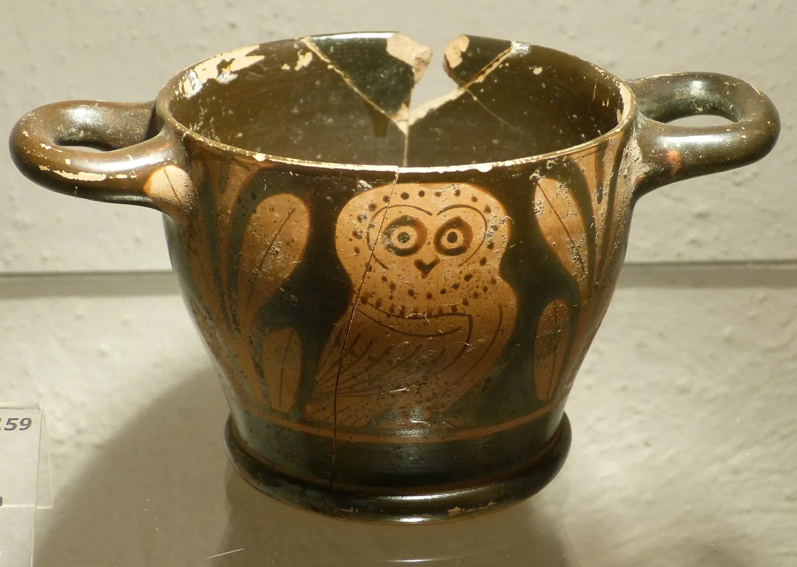 MOO Museo dell’Olivo e dell’Olio