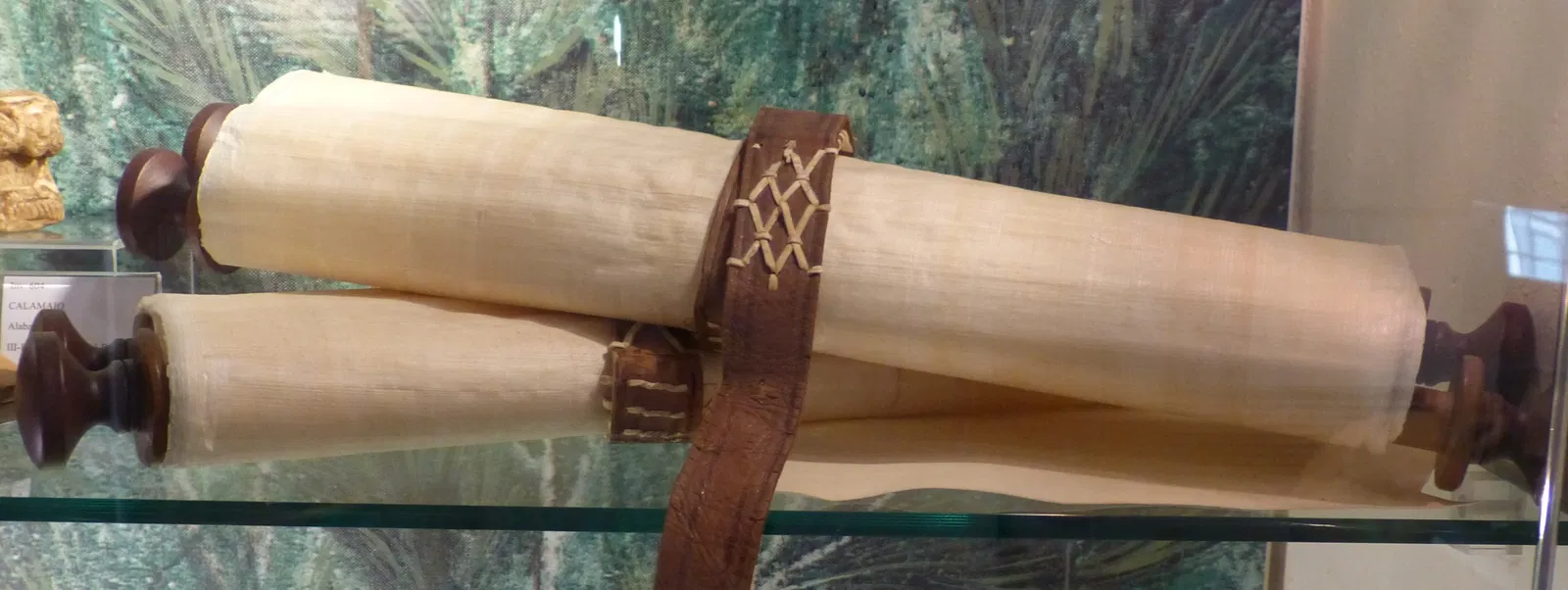 MOO Museo dell’Olivo e dell’Olio