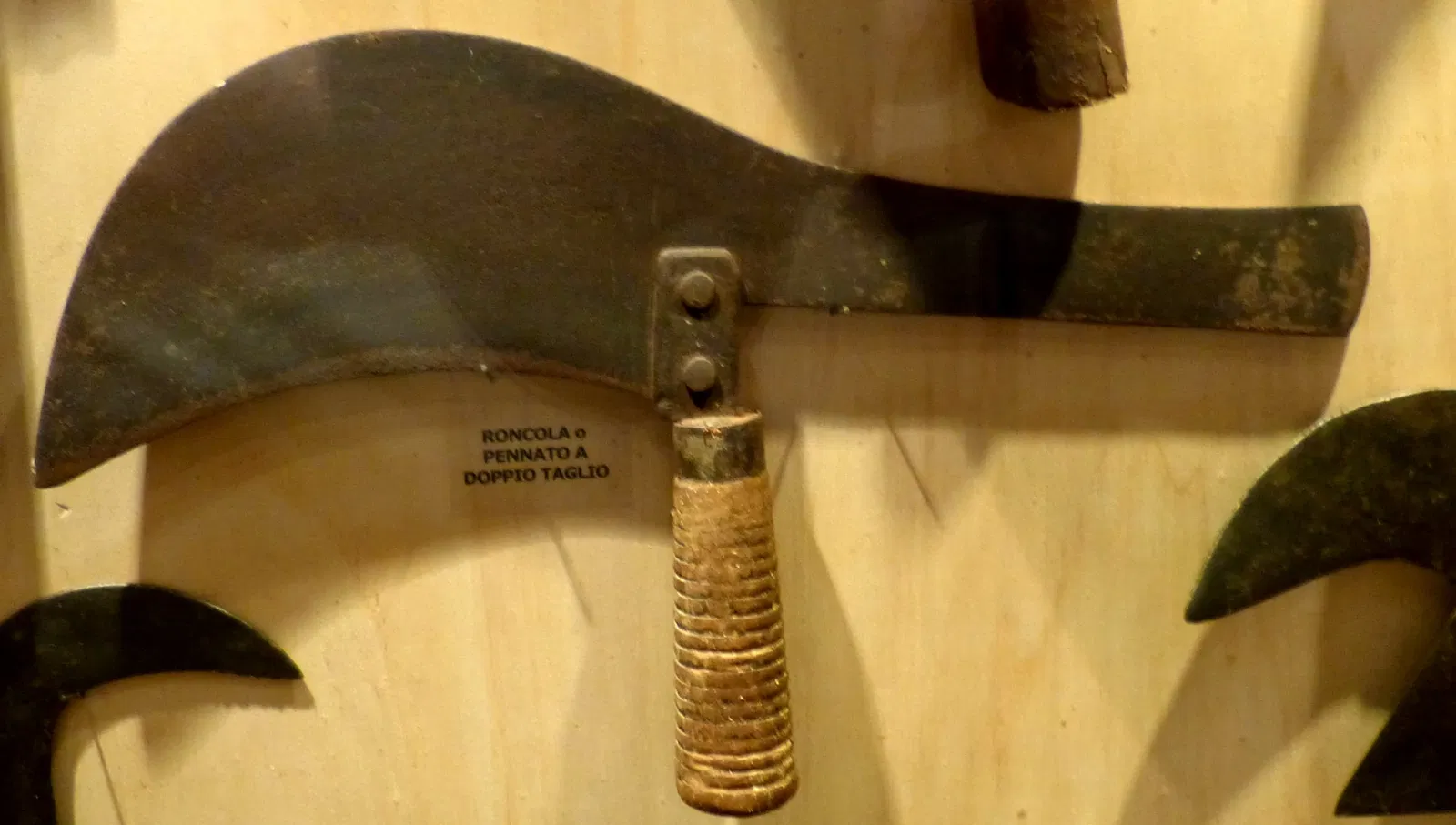 MOO Museo dell’Olivo e dell’Olio