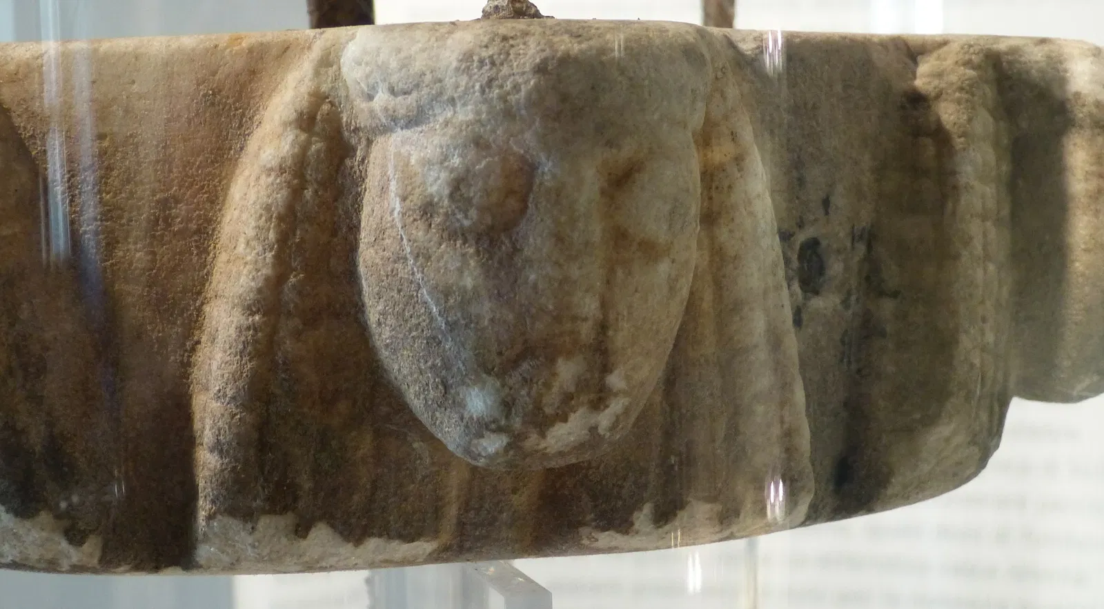 MOO Museo dell’Olivo e dell’Olio