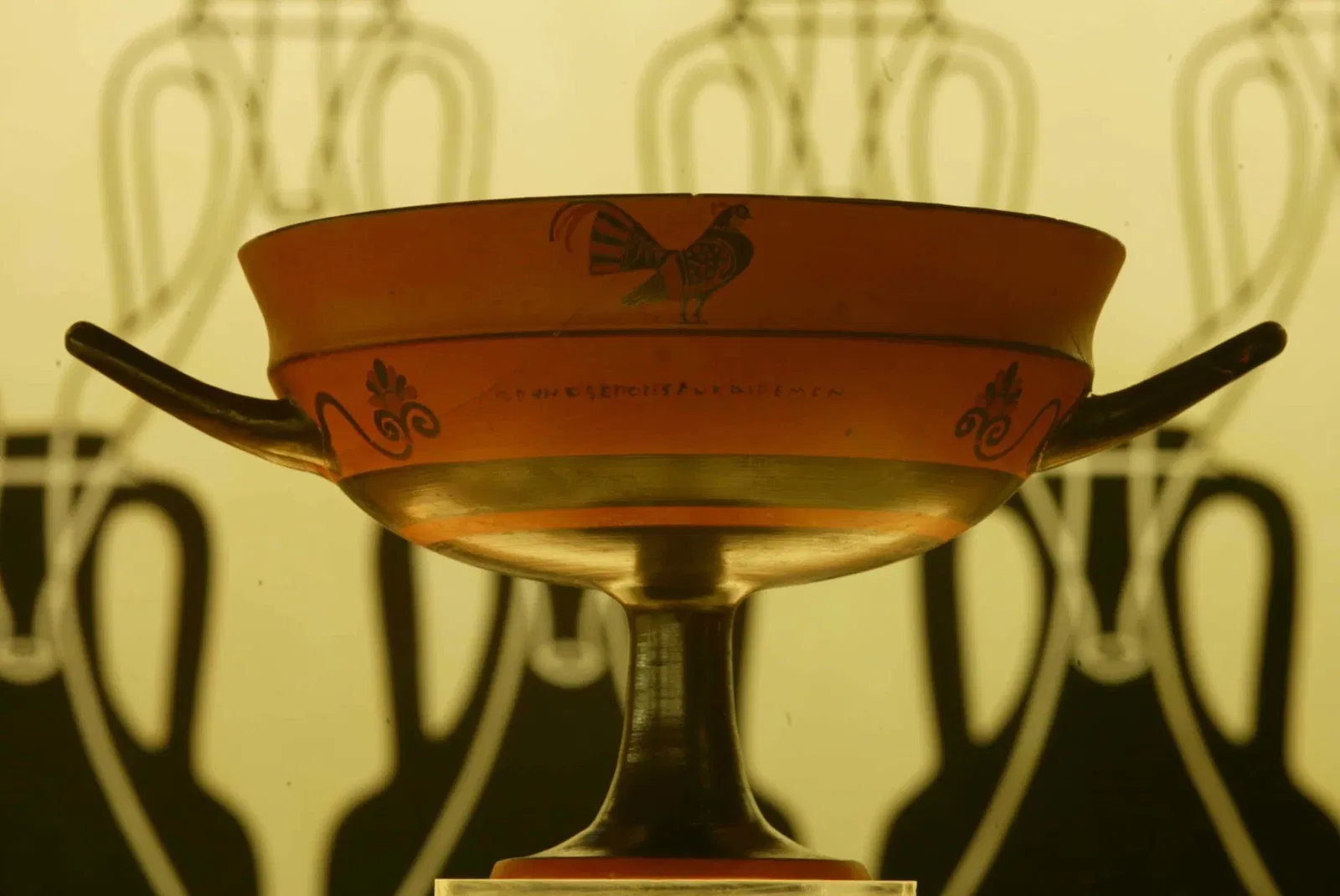 Museo del Vino Torgiano