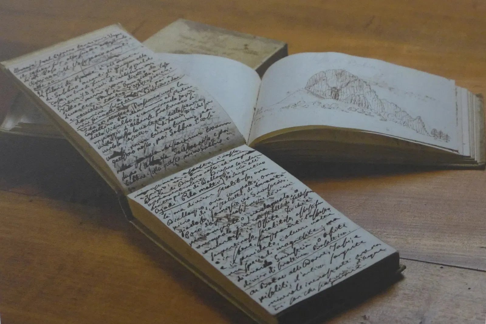 Museo di Storia Naturale dell’Università di Pisa