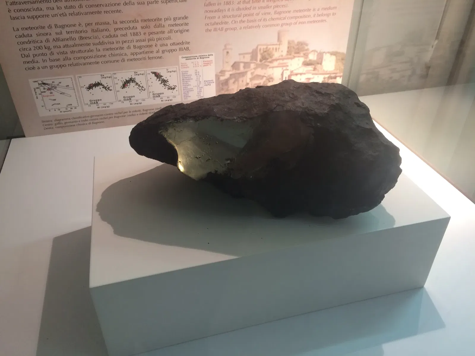 Museo di Storia Naturale dell’Università di Pisa