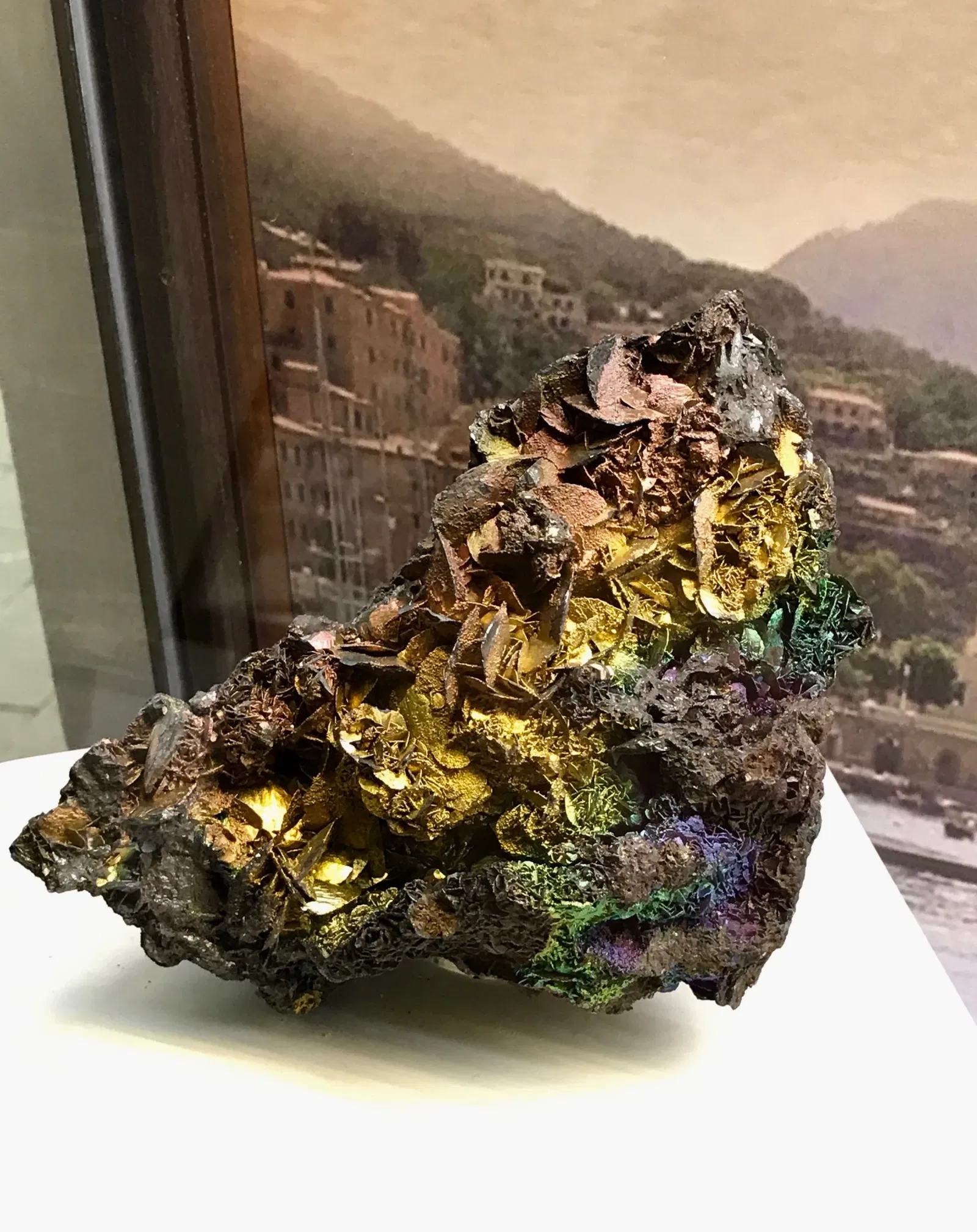 Natural History Museum of the University of Pisa