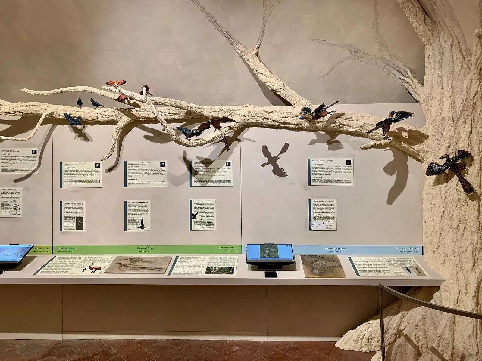 Natural History Museum of the University of Pisa