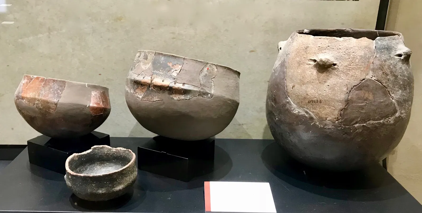 Museo di Storia Naturale dell’Università di Pisa