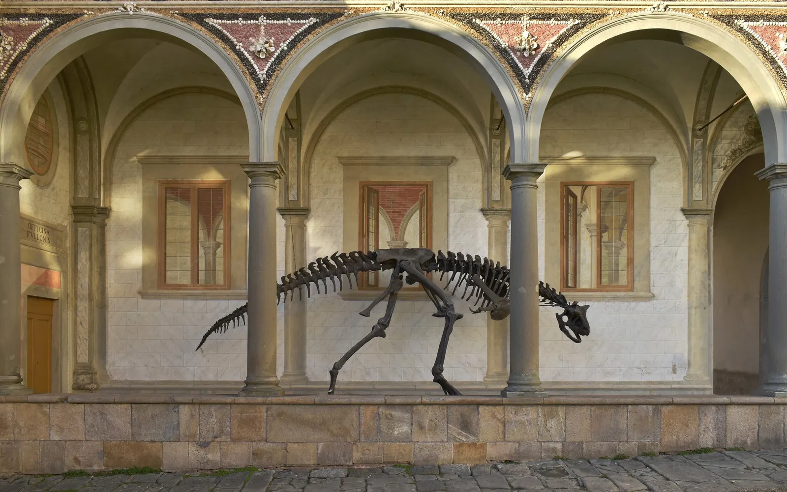 Museo di Storia Naturale dell’Università di Pisa