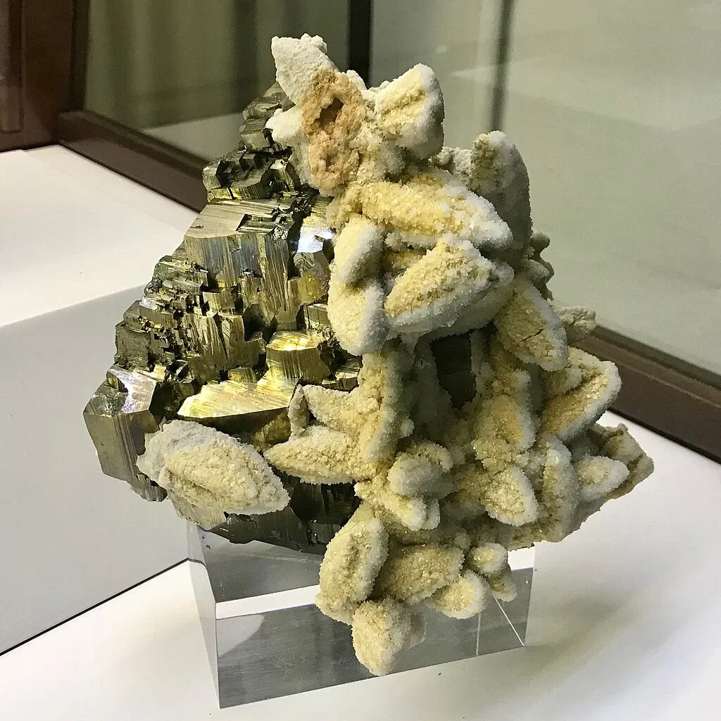 Museo di Storia Naturale dell’Università di Pisa