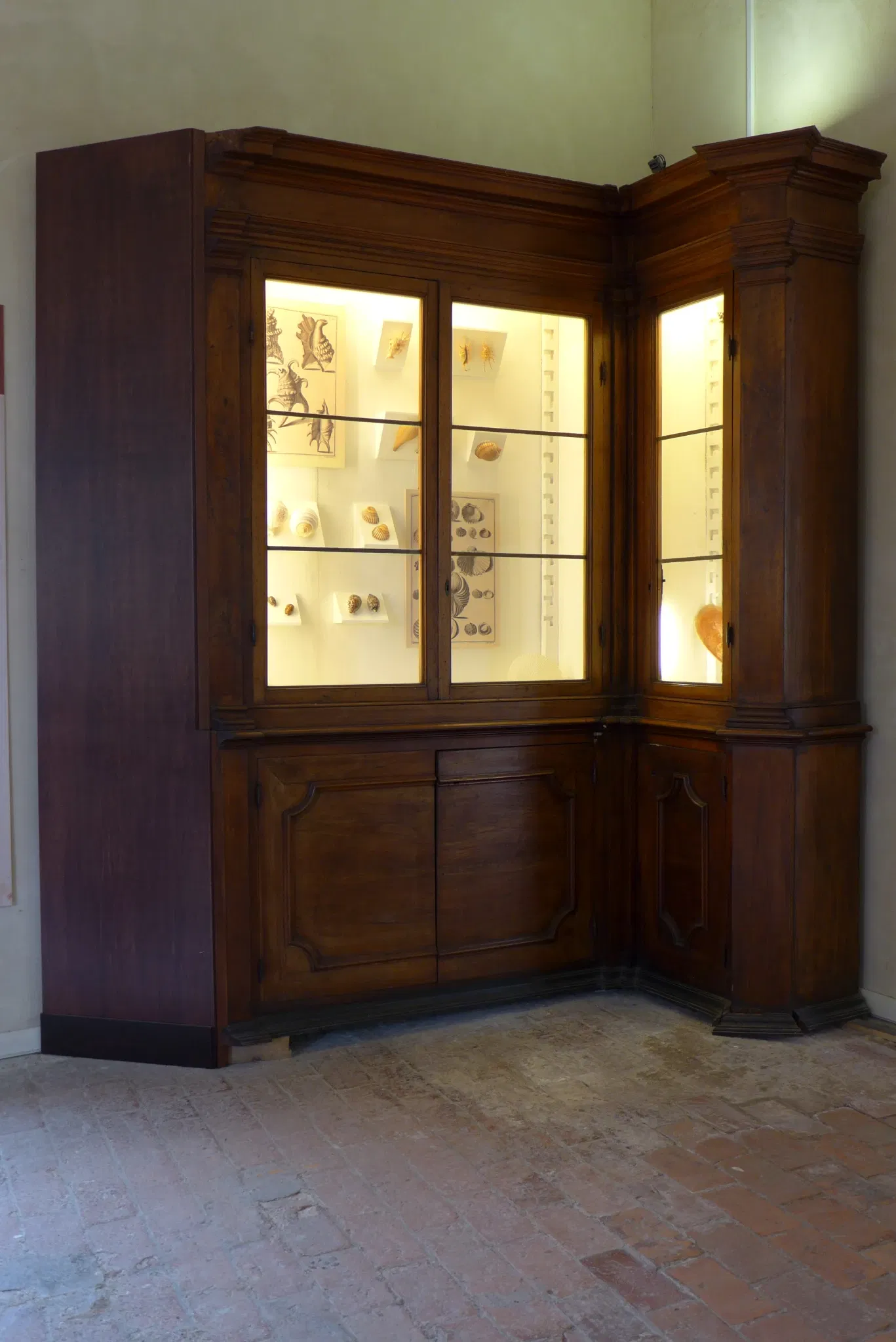 Natural History Museum of the University of Pisa