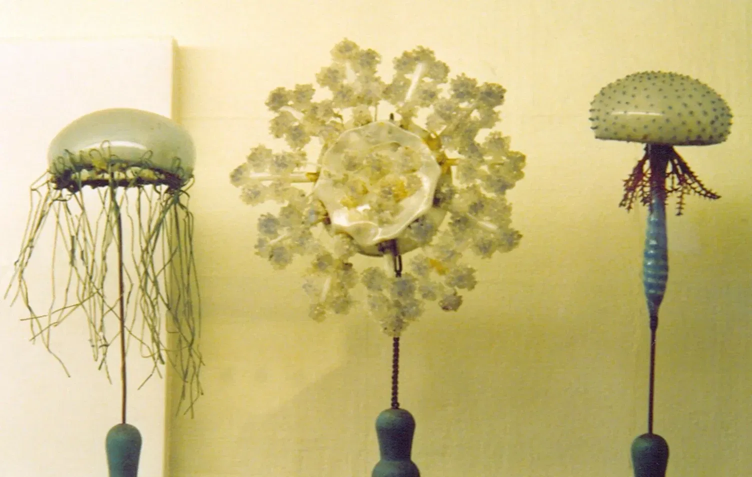 Natural History Museum of the University of Pisa