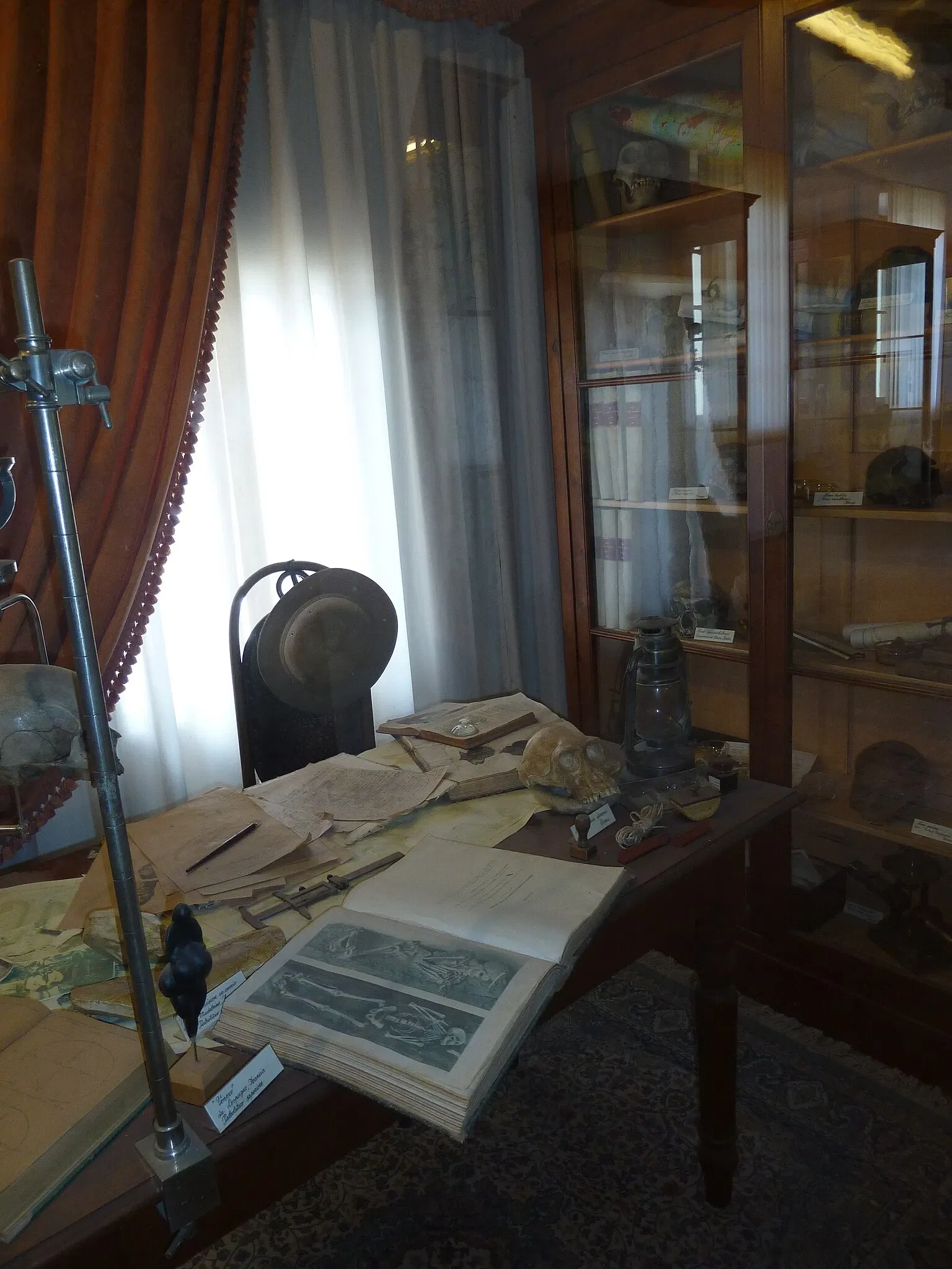 Museo di Storia Naturale dell’Università di Pisa