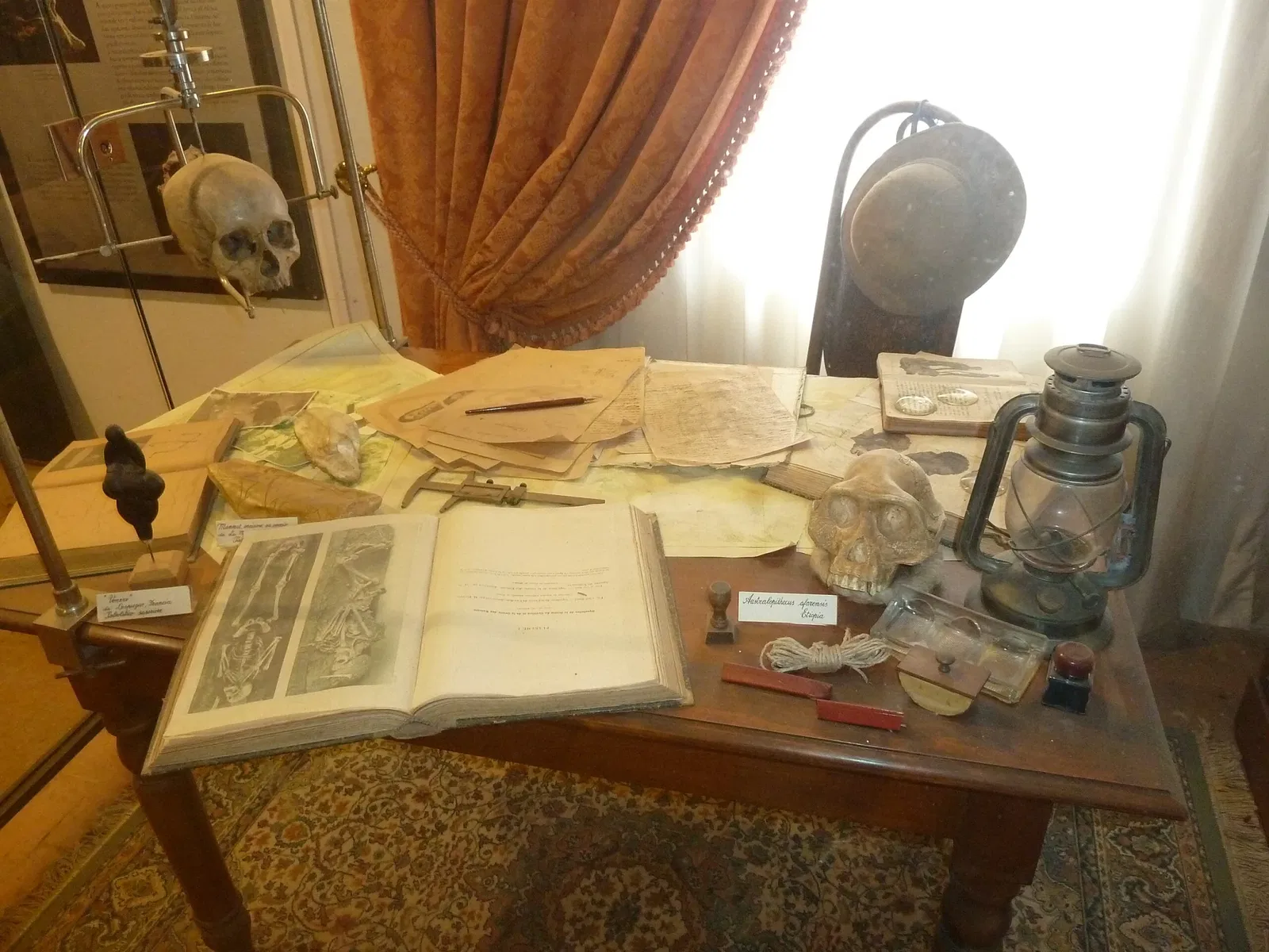 Natural History Museum of the University of Pisa