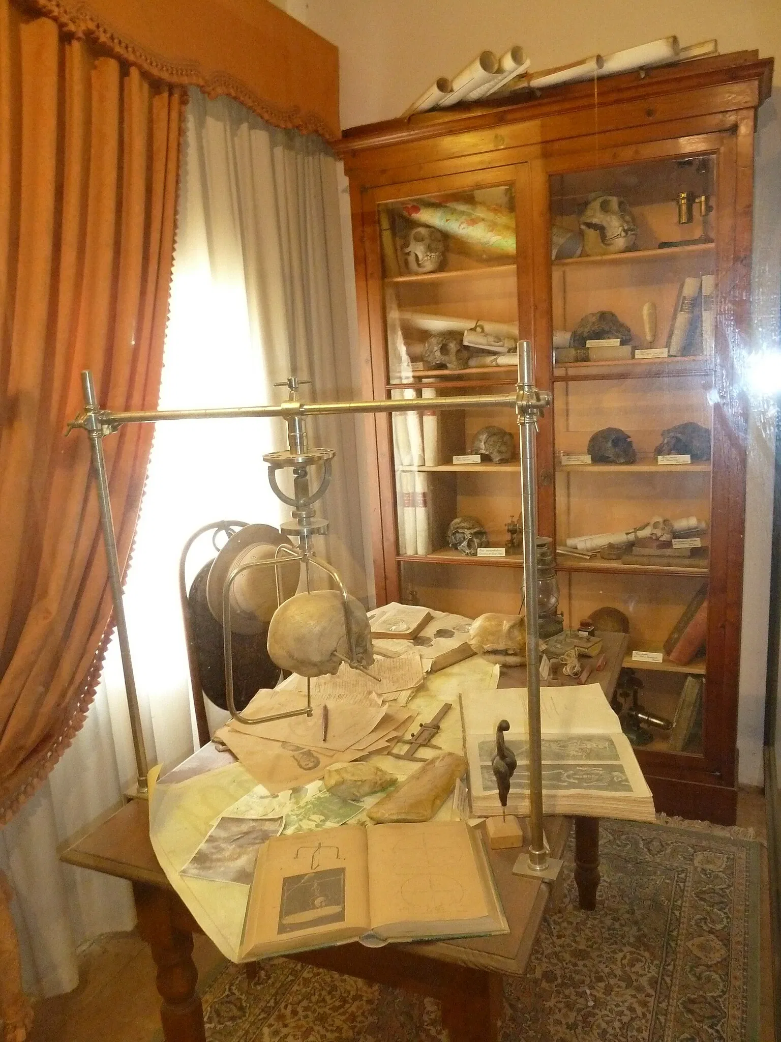 Museo di Storia Naturale dell’Università di Pisa