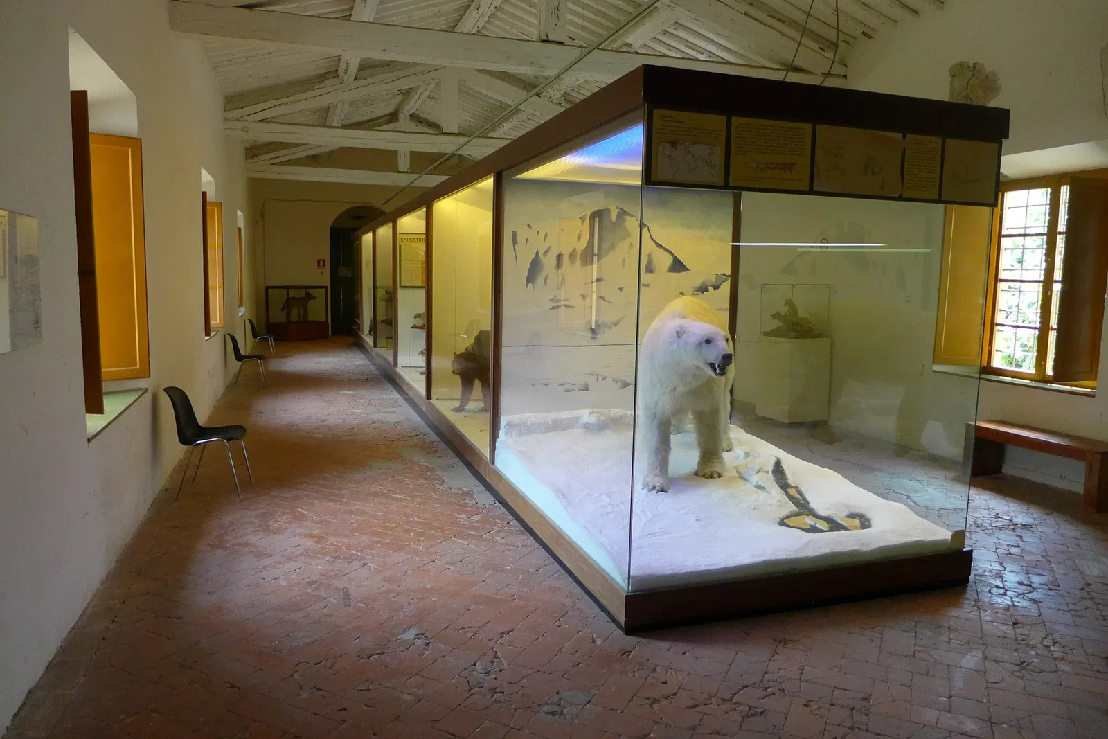Natural History Museum of the University of Pisa