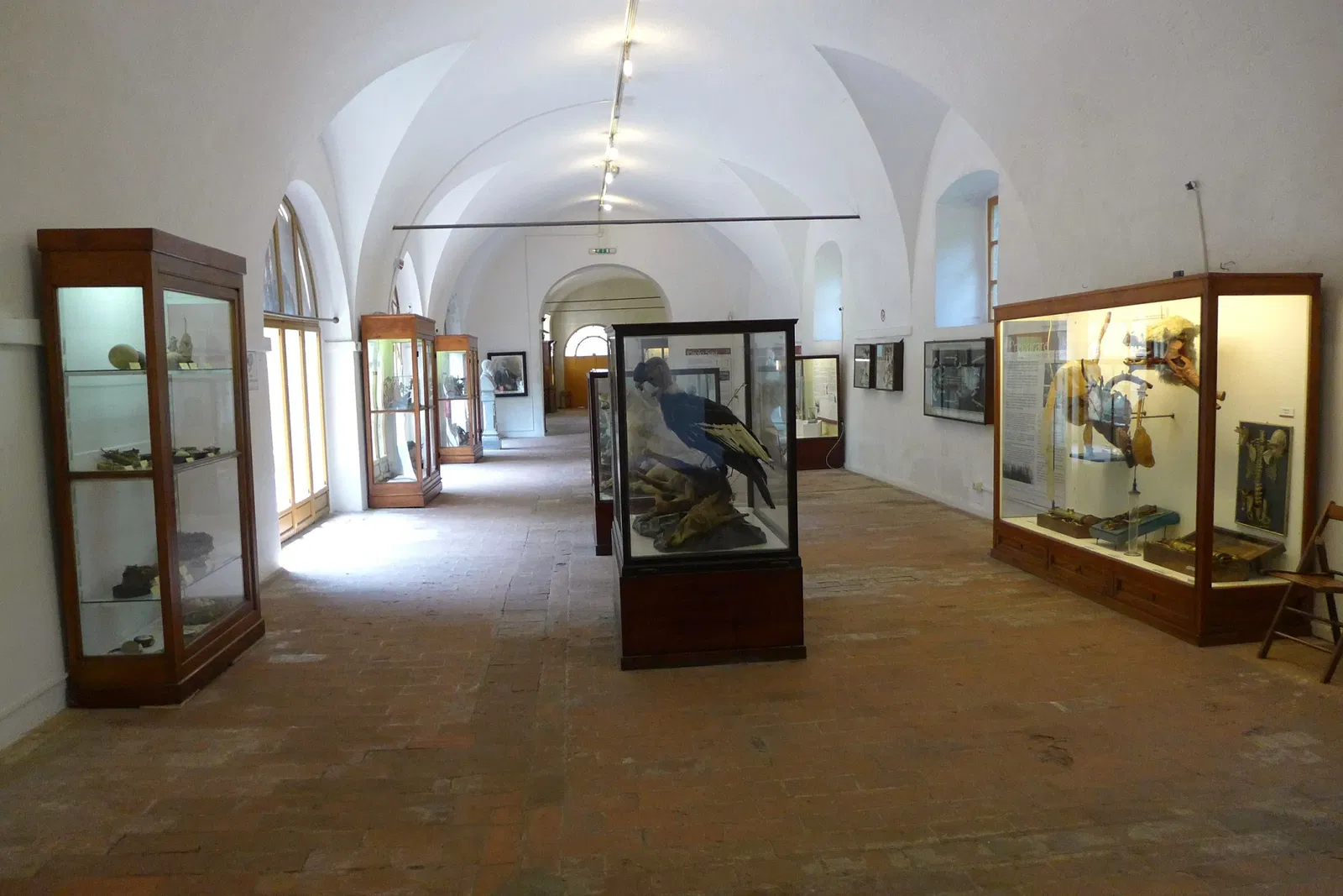Natural History Museum of the University of Pisa