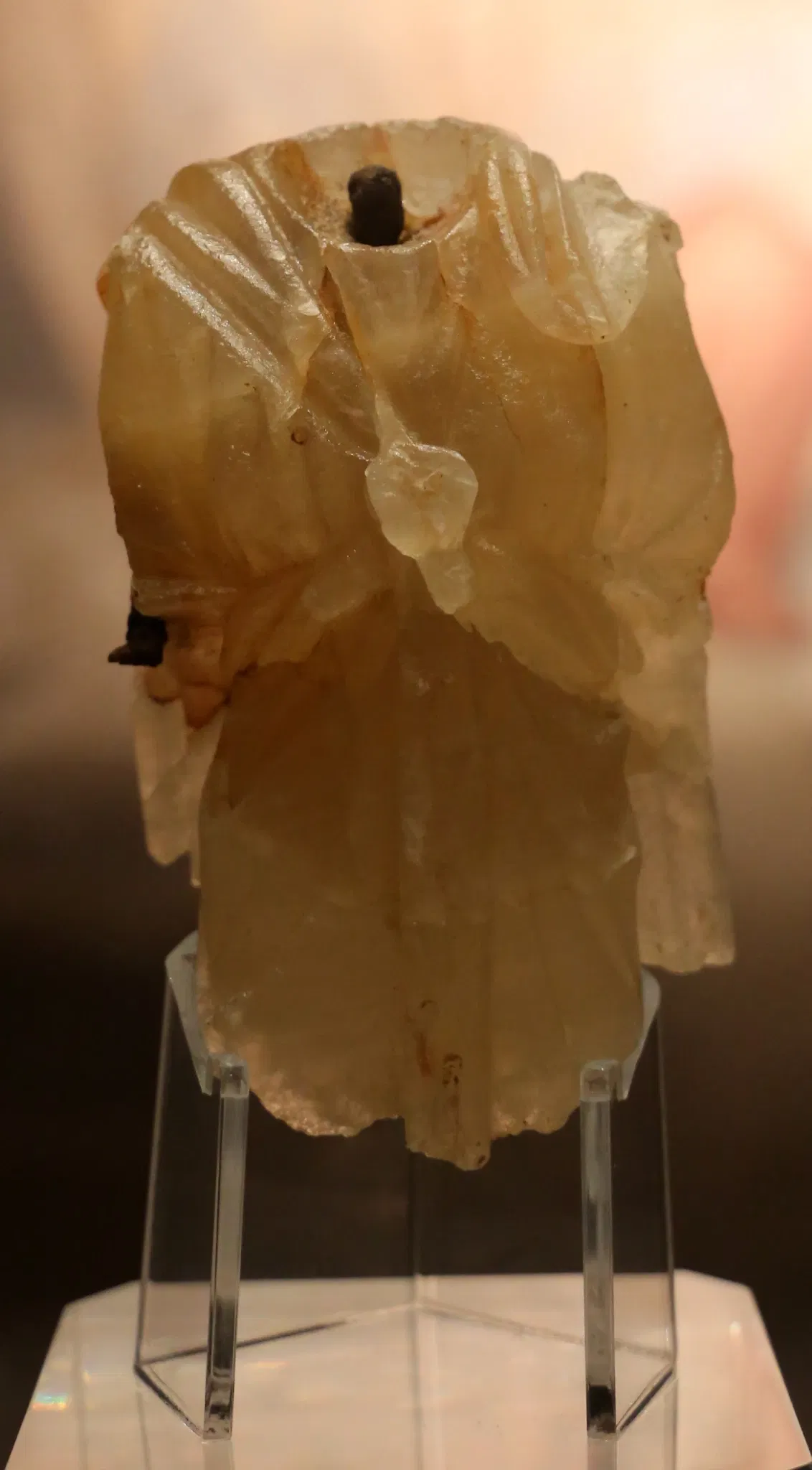 Museo Archeologico Comunale di Cecina