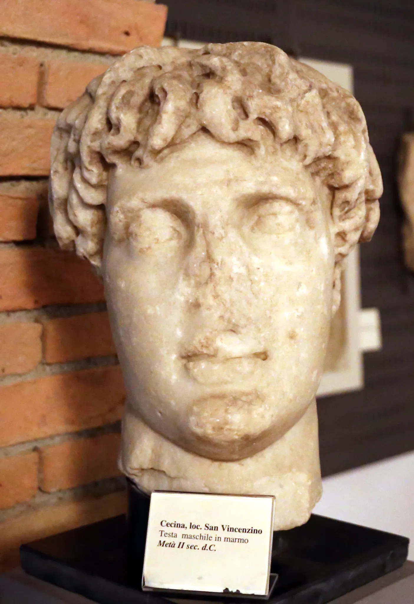 Museo Archeologico Comunale di Cecina