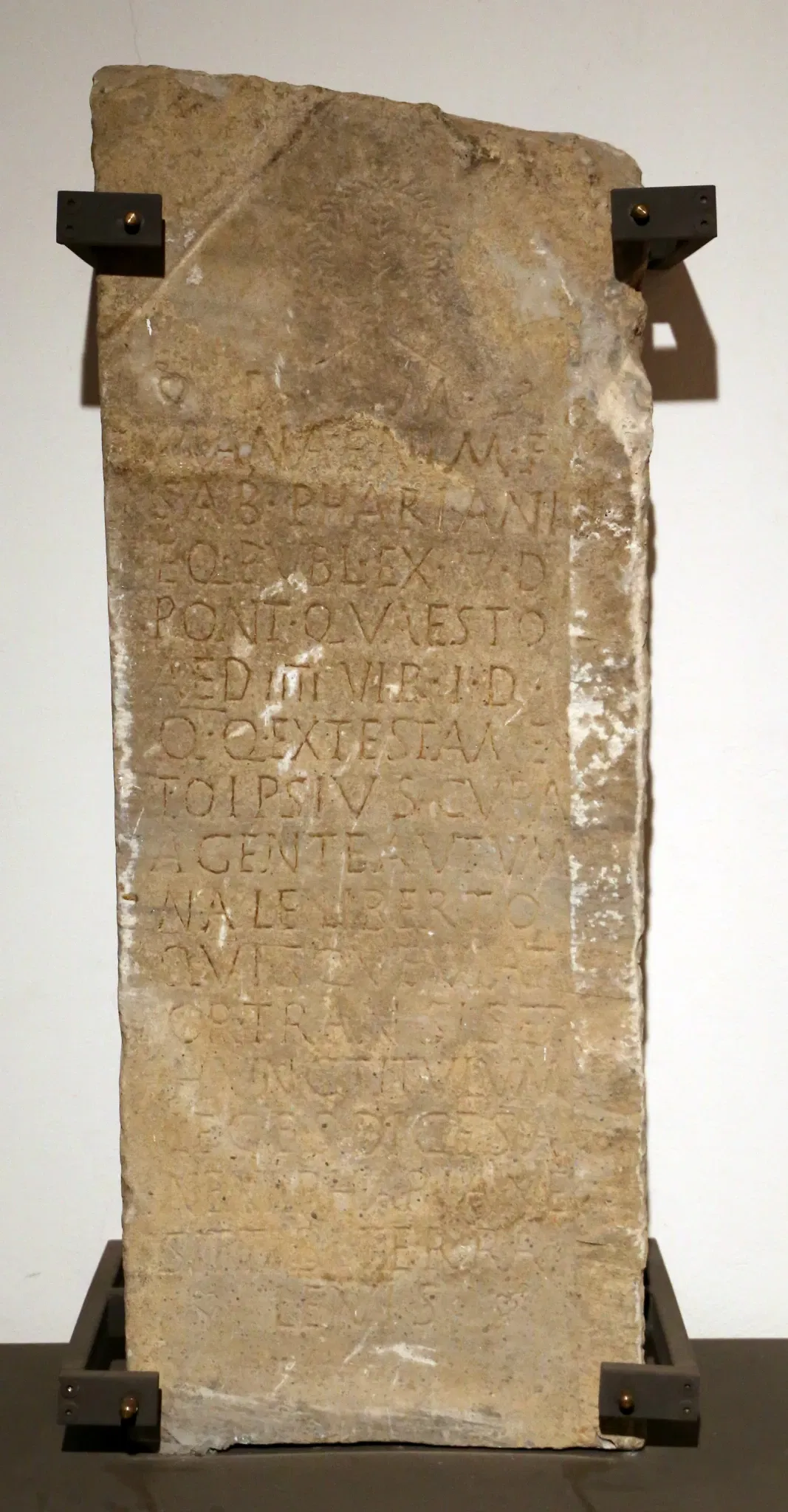 Museo Archeologico Comunale di Cecina