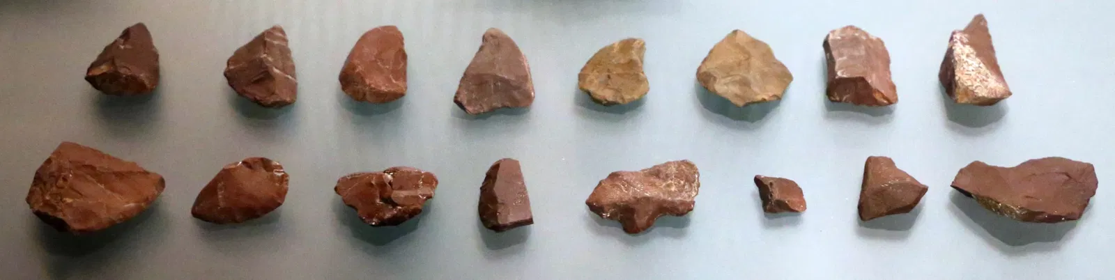 Museo Archeologico Comunale di Cecina