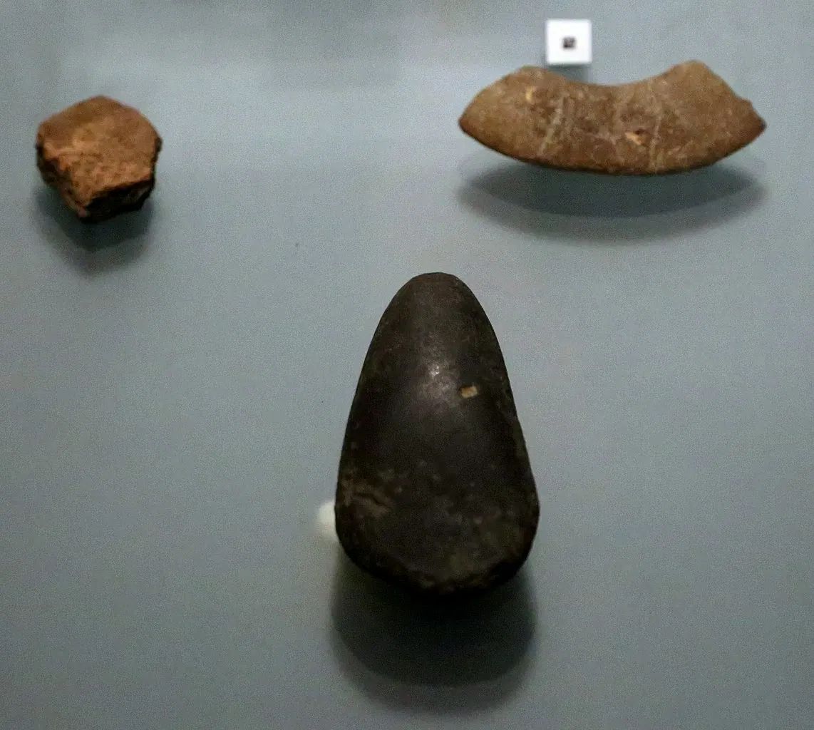 Museo Archeologico Comunale di Cecina