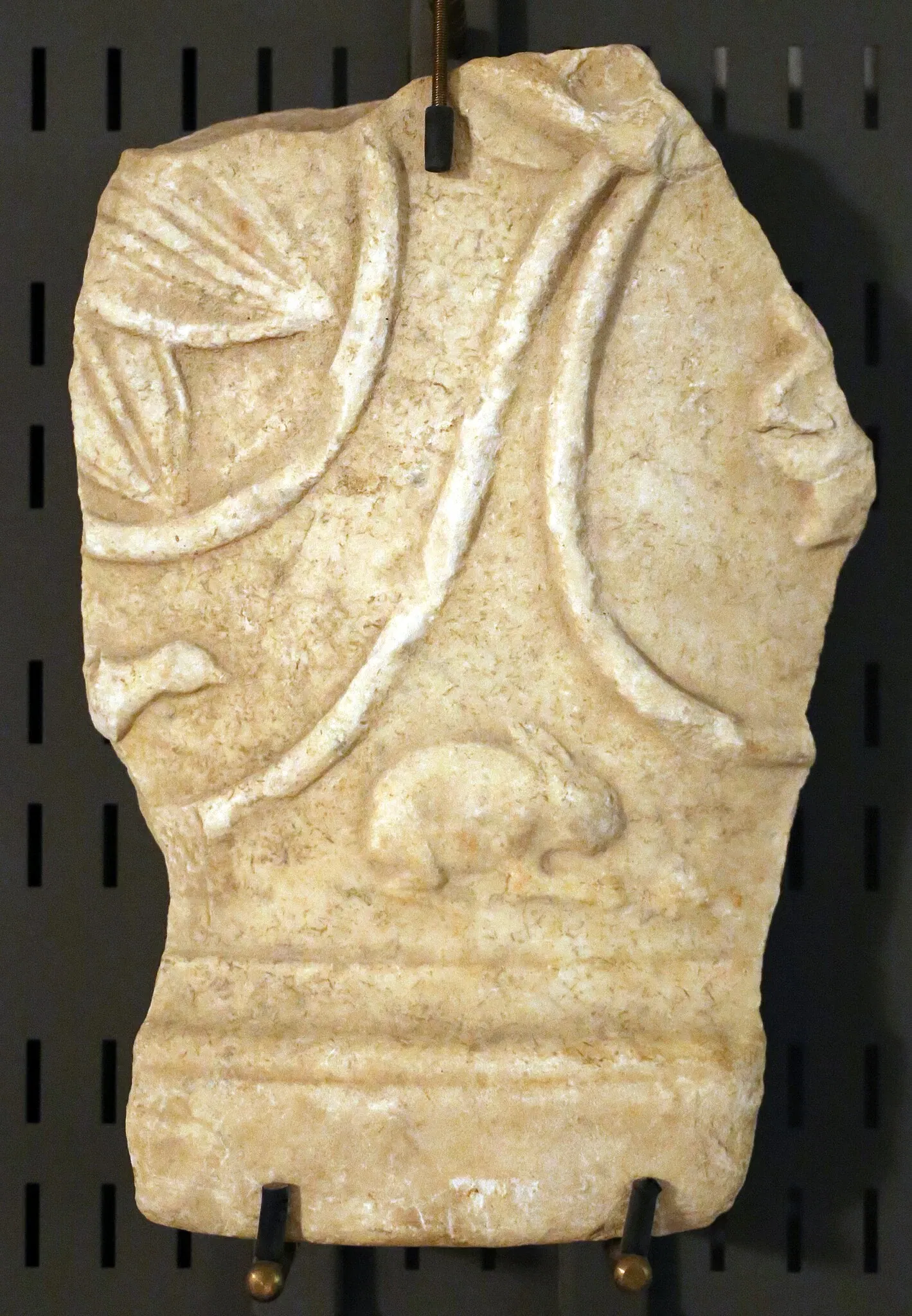 Museo Archeologico Comunale di Cecina