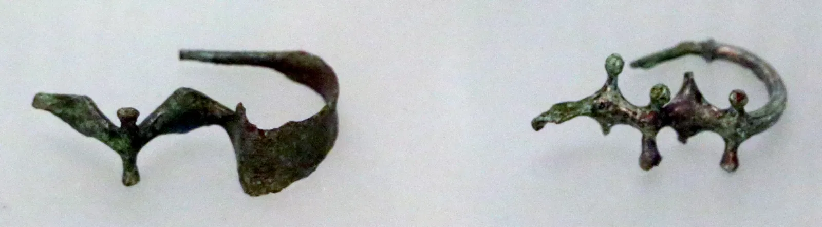 Museo Archeologico Comunale di Cecina