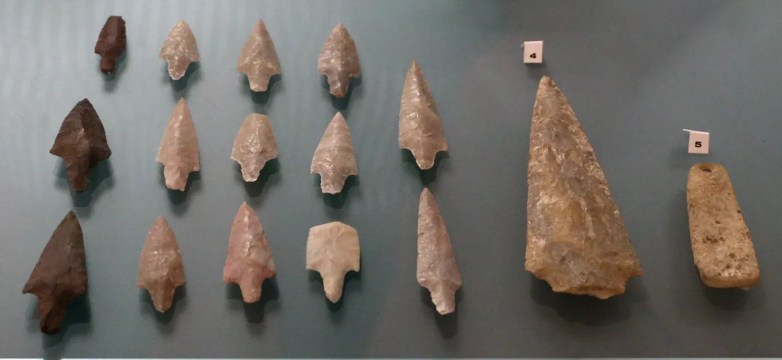 Museo Archeologico Comunale di Cecina