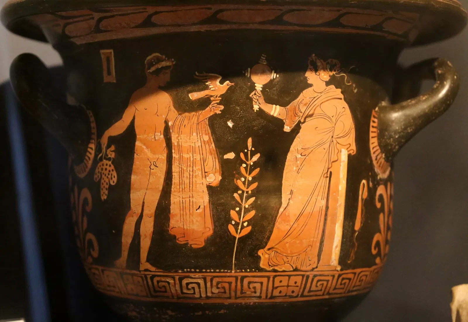 Museo Archeologico Comunale di Cecina