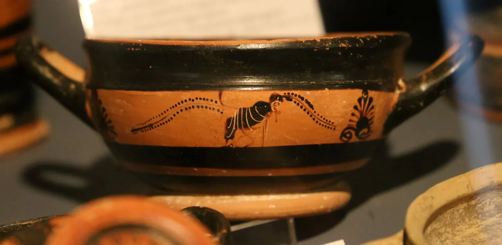 Museo Archeologico Comunale di Cecina