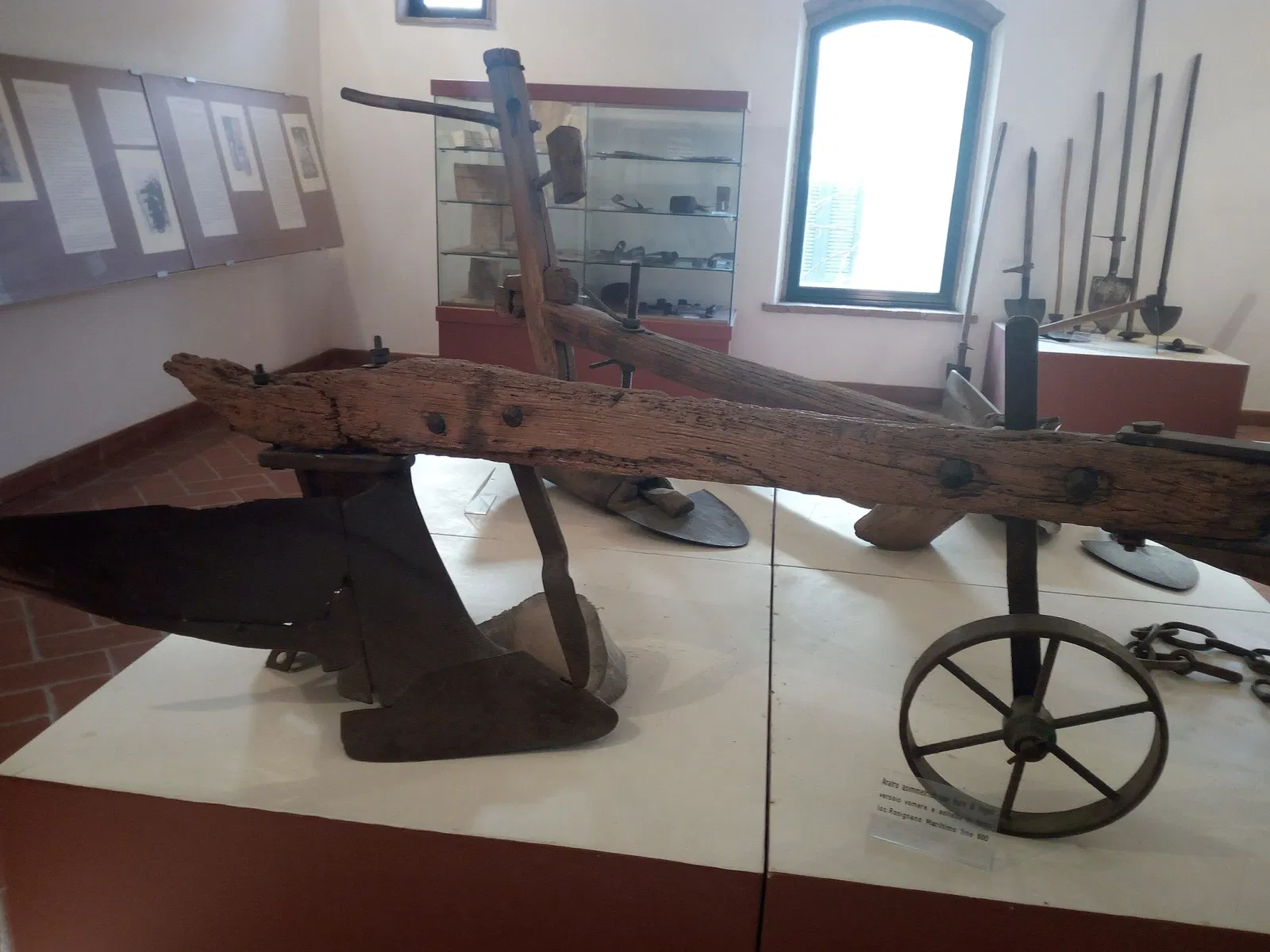 Museo Archeologico Comunale di Cecina