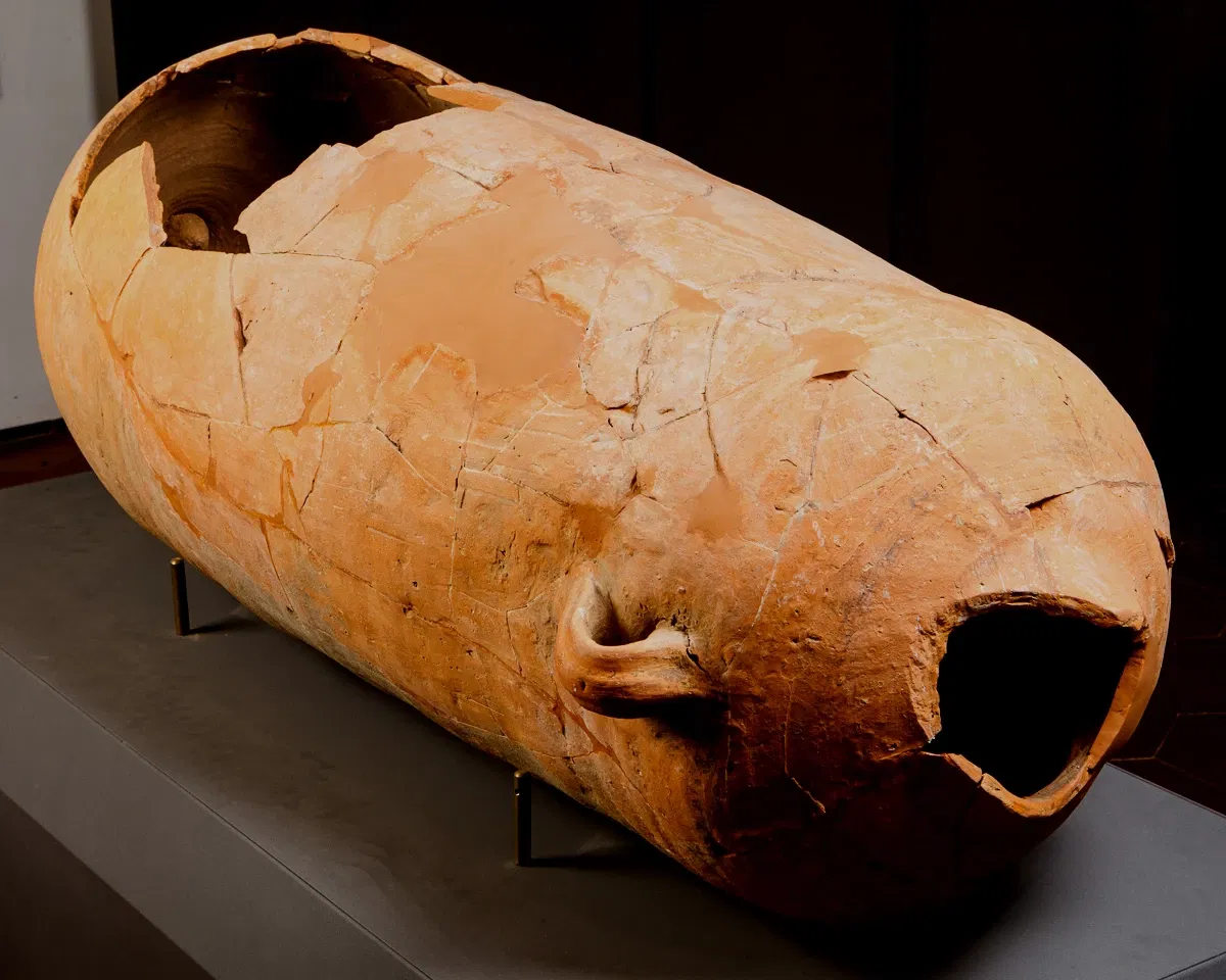 Museo Archeologico Comunale di Cecina