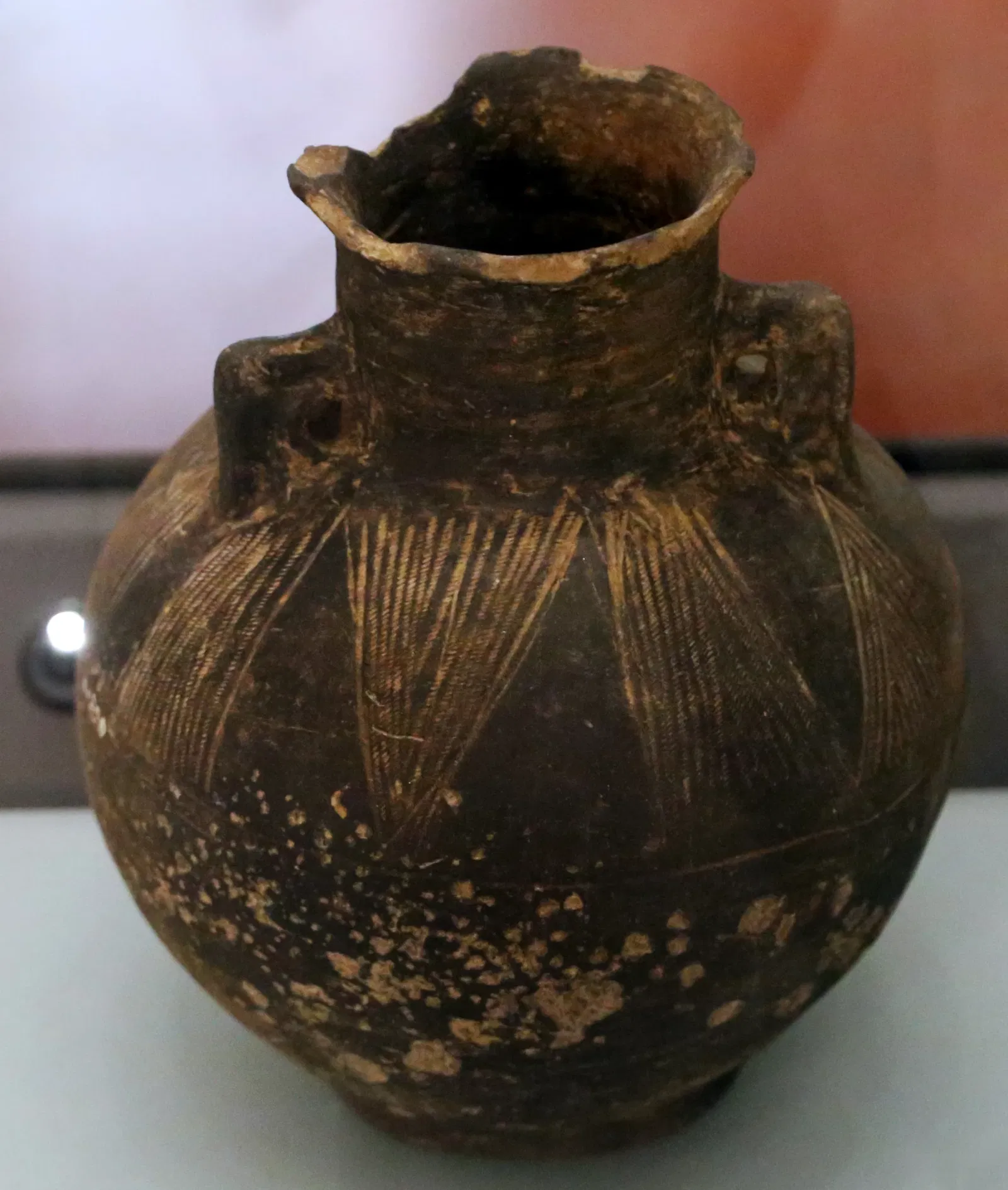 Museo Archeologico Comunale di Cecina