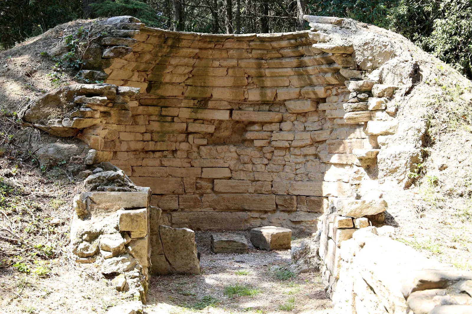 Museo Archeologico Comunale di Cecina