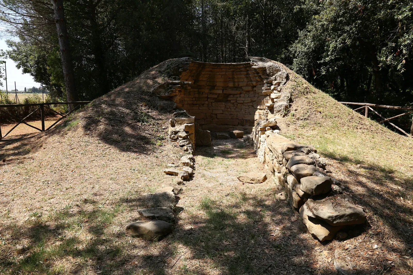 Museo Archeologico Comunale di Cecina