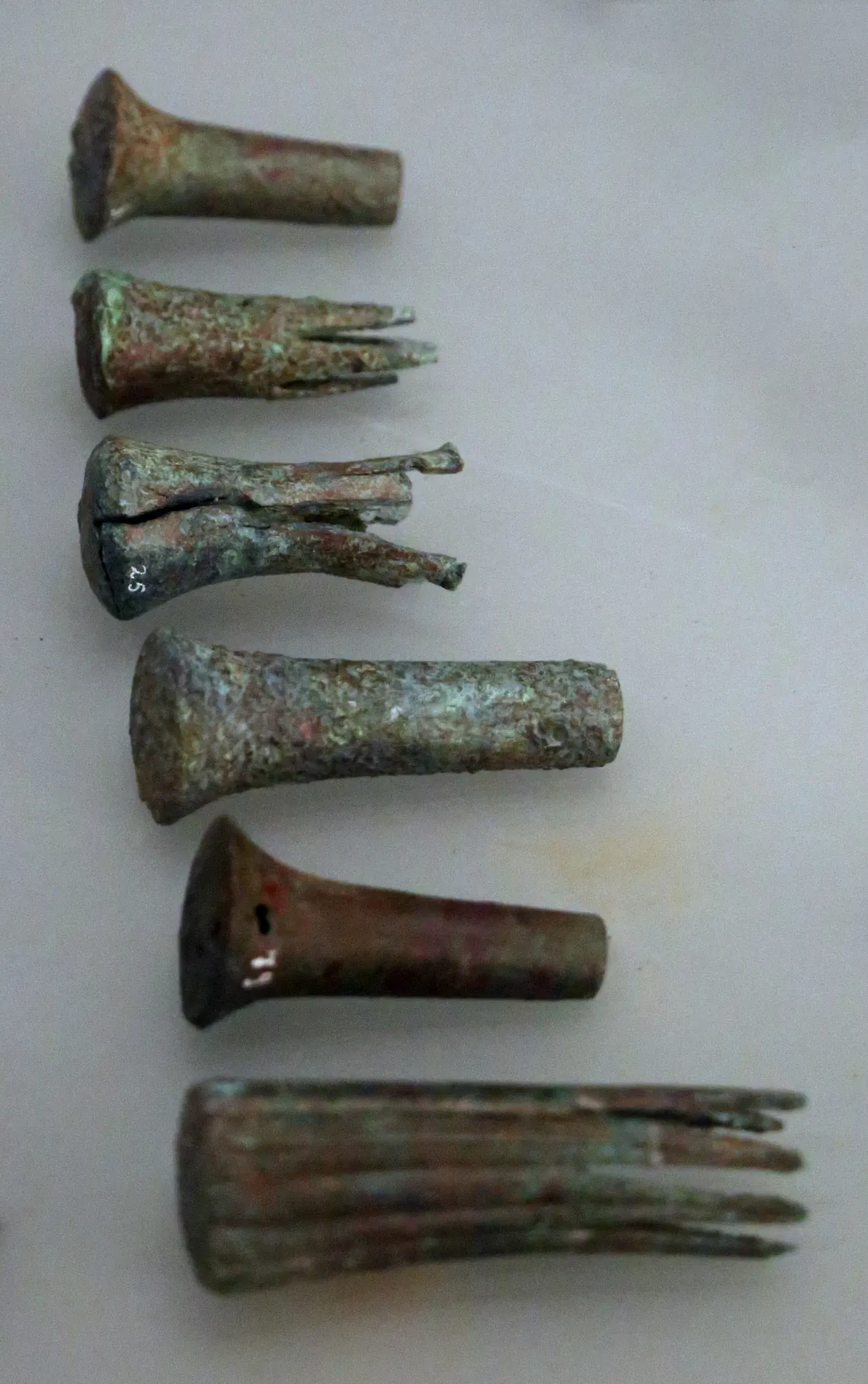 Museo Archeologico Comunale di Cecina