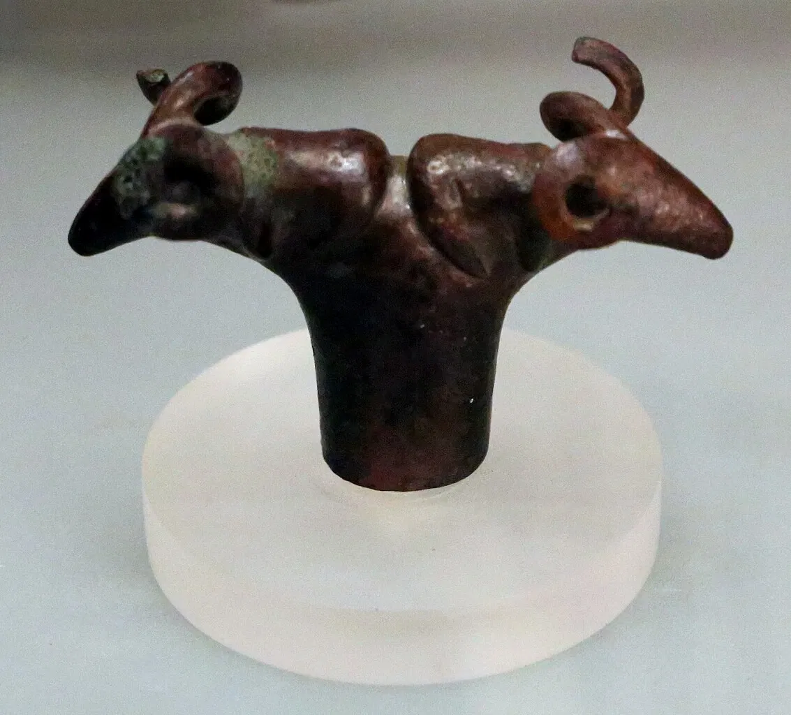 Museo Archeologico Comunale di Cecina