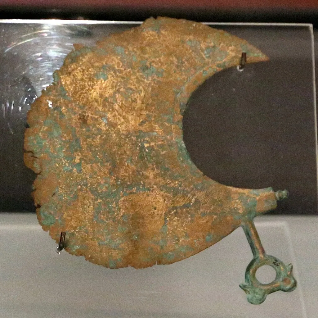 Museo Archeologico Comunale di Cecina